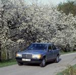 Mercedes-Benz 190 D 1983 года